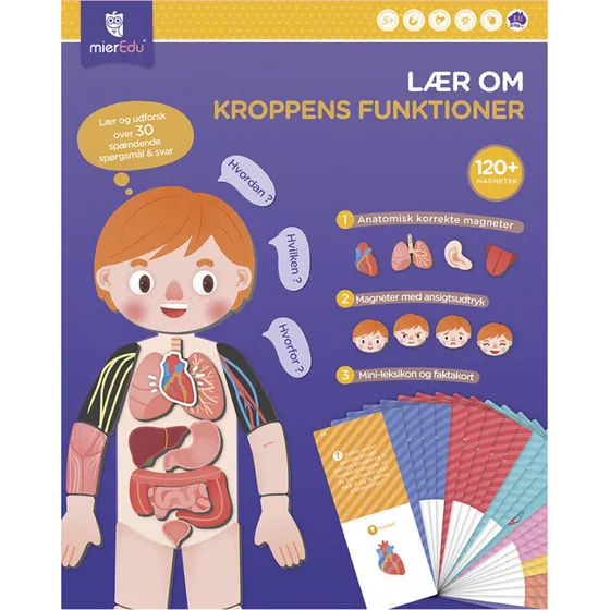 MierEdu Magnetisk legesæt – Lær om kroppens funktioner