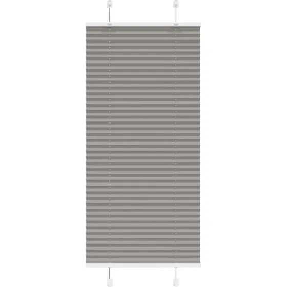 vidaXL Plisségardin Antracit 65x150 cm, 100% Polyester
