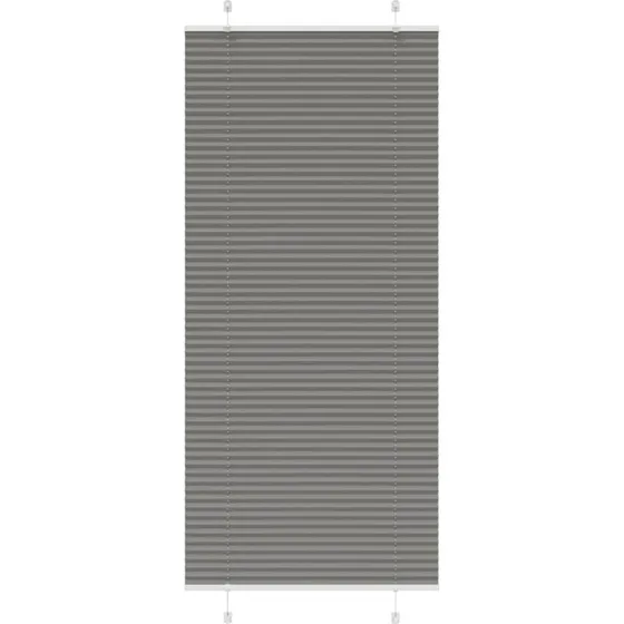 vidaXL Plisségardin Antracit 85x200 cm, 100% Polyester