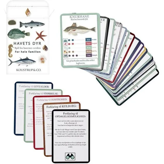 Koustrup & Co. Kortspil - Lær om Havets Dyr