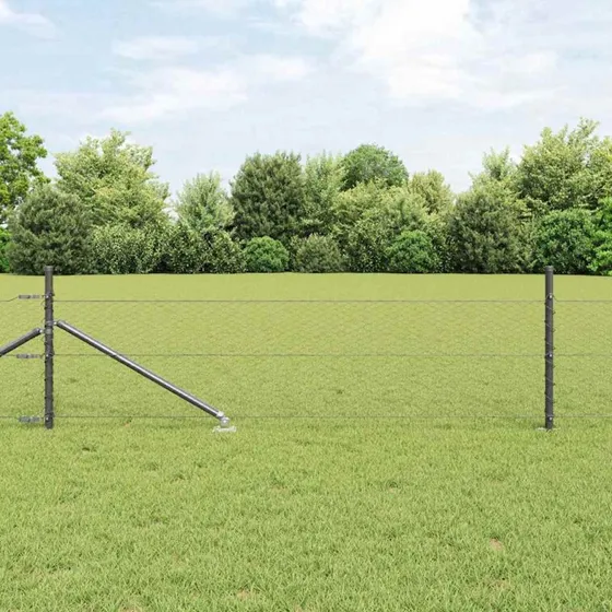 vidaXL Hegnspæl Grå 0,8 x 100 m PVC-belagt stål