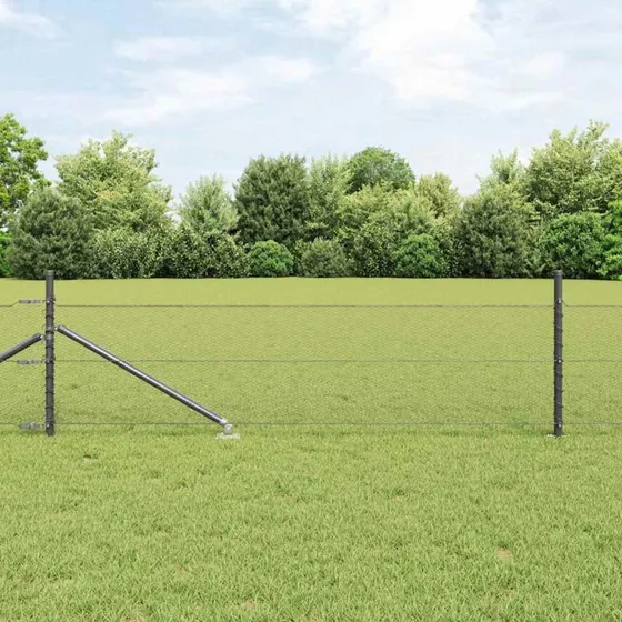 vidaXL Hegnspæl Grå 0,8 x 100 m PVC-belagt stål