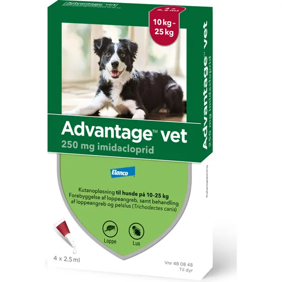 Advantage loppemiddel til hund 25-40 kg, 4 pipetter