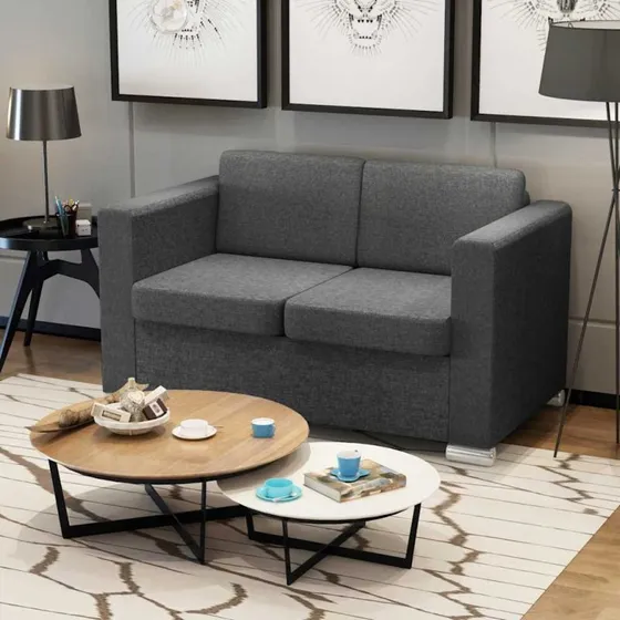 vidaXL 2-sæded sofa i stof mørkegrå