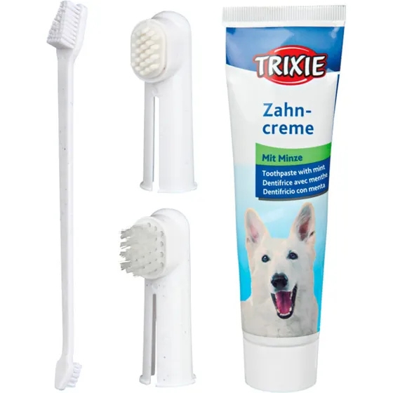 Trixie Tandplejesæt 4-i-1 til hunde (mint tandpasta)