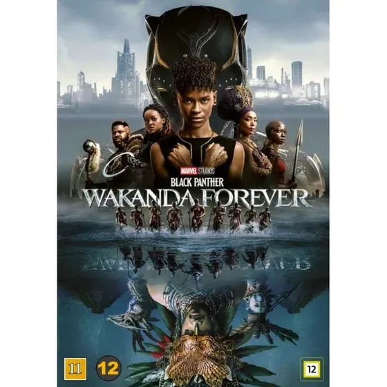Marvel: Black Panther: Wakanda Forever - DVD