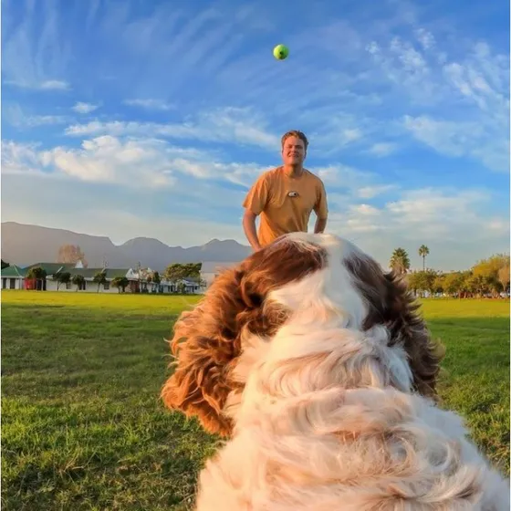 Insta360 GO 3/GO 3S Pet Harness Mount Size S