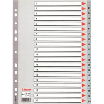 Esselte Register 1-20 A4 Grå