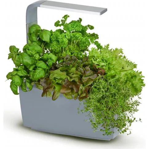 Tregren Kitchen Garden T6 Grå – Automatisk køkkenhave med 3x hurtigere vækst