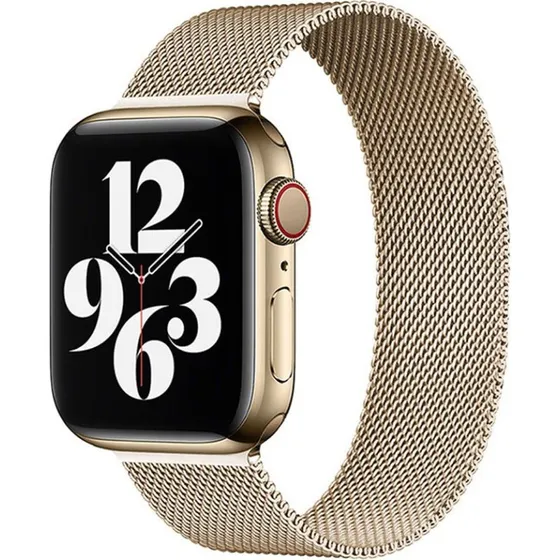 Lippa Apple Watch Rem i rustfrit stål 38/40/41 - Guld