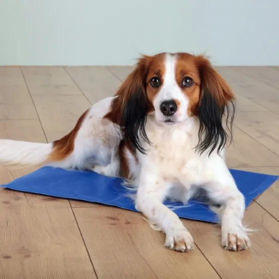 Trixie Kølemåtte til hunde 50 x 40 cm - blå
