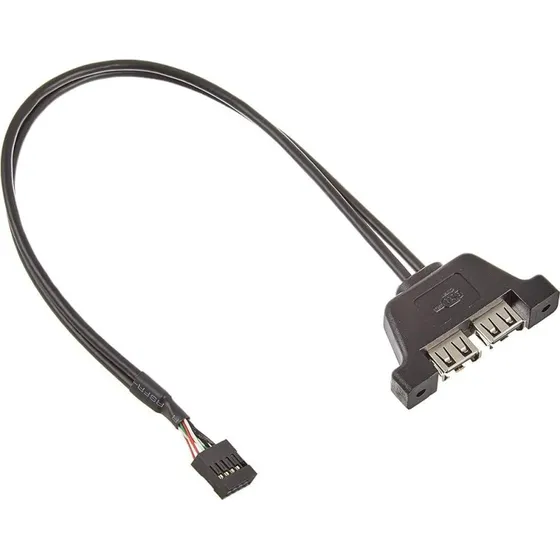 ASRock DeskMini 2x USB 2.0 Adapterkabel