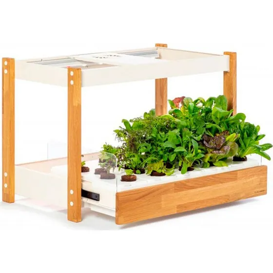 Click & Grow 25 Salatgrønt (54pk) Hvid