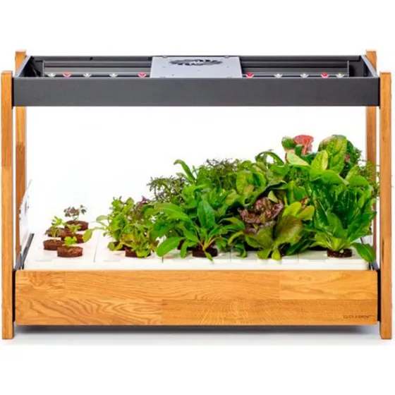 Click & Grow 25 Salatgrønt (54pk) Sort