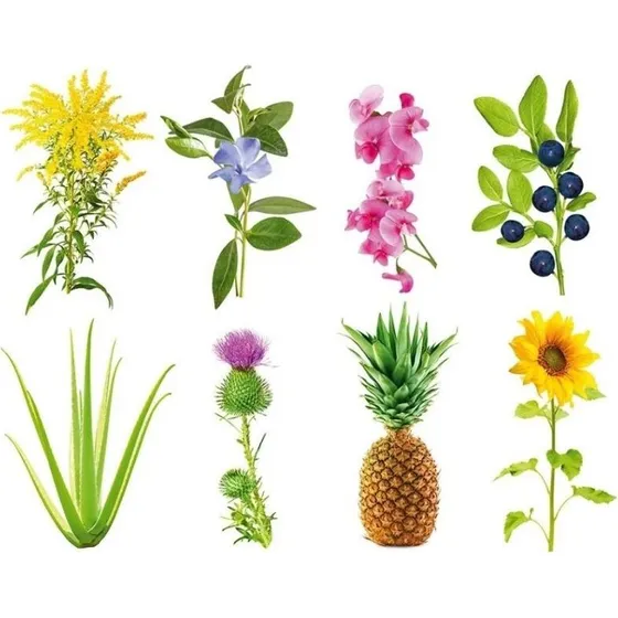 Click & Grow Smart Garden Refill 3-pack (SGR0X3)