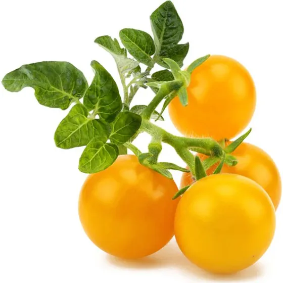 Click & Grow Smart Garden Refill 3-pack Gul Tomat