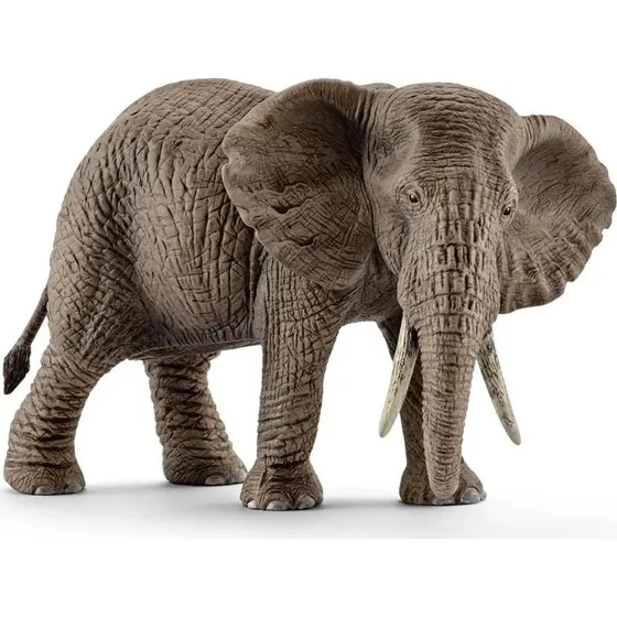 Schleich WildLife Afrikansk Elefant hun - 3+ år