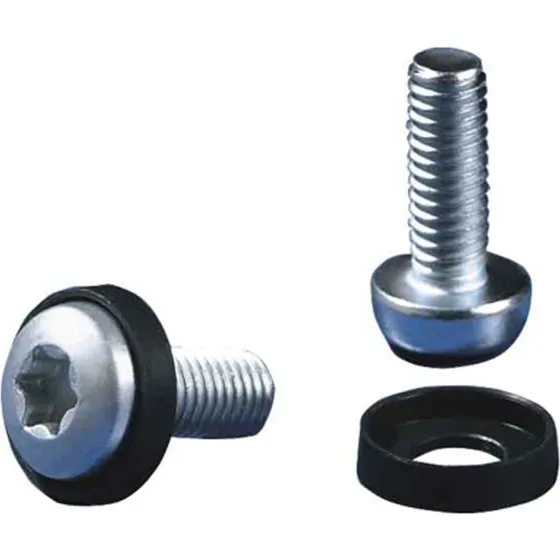 Rittal DK Multi-tooth M6x16 Skruer til Rack (50 stk)