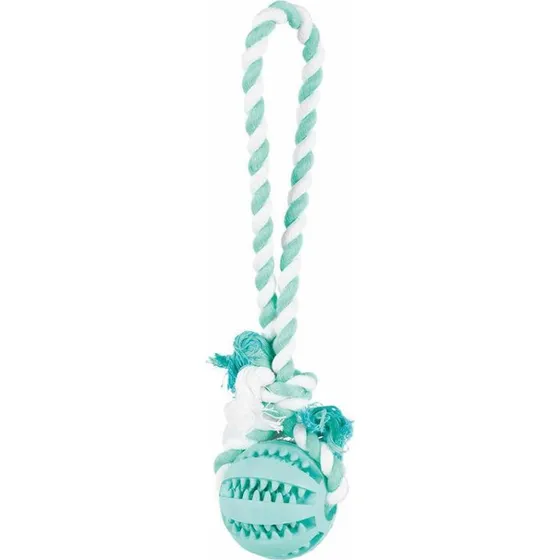 Trixie Denta Fun Naturgummi Bold med Bærehåndtag, 7×24 cm, Mint/Hvid