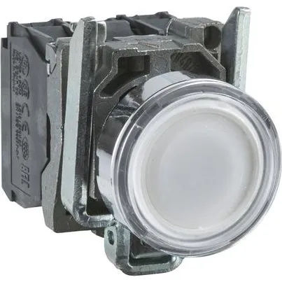 Lampetryk Hvid 24V XB4BW31B5