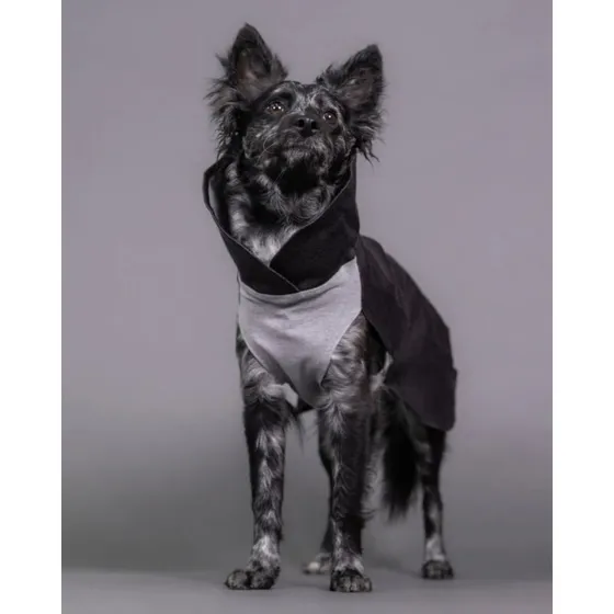 PAIKKA Recovery Vintertrøje Grå (uldblanding)