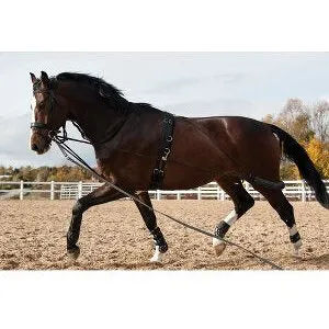 HorseGuard Longeringssystem, sort - Pony/Cob/Full