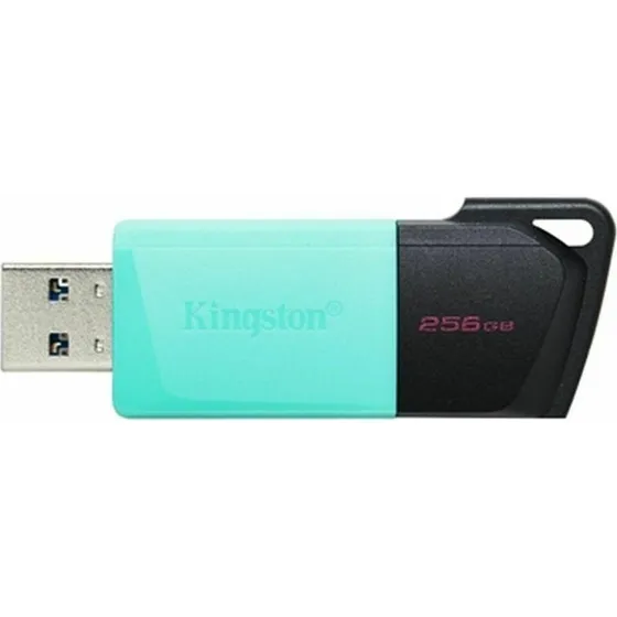Kingston DataTraveler Exodia M 256 GB USB 3.2 Sort/Turkis