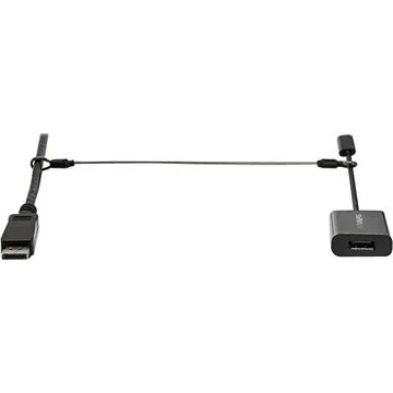 StarTech.com 10-Pack Security Cable Tethers, Sølv, 30 cm, TAA-kompatibel