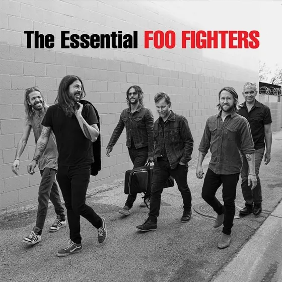 Foo Fighters - Essential Foo Fighters (2LP)