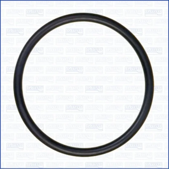AJUSA 16054000 Pakning, termostat for VW, AUDI, FORD