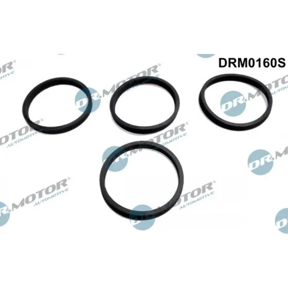 Dr.Motor Automotive DRM0160S Pakningssæt, indsugningsmanifold