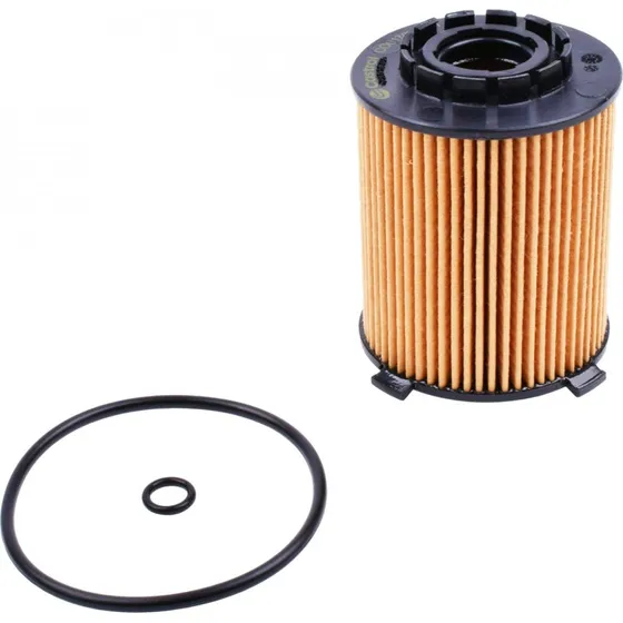 Castrol Oliefilter CO0178 til Volvo og Polestar
