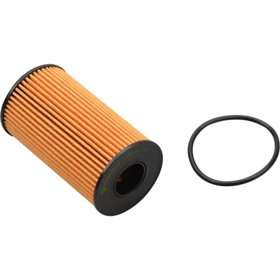Castrol Oliefilter CO0216 til Jaguar og Land Rover