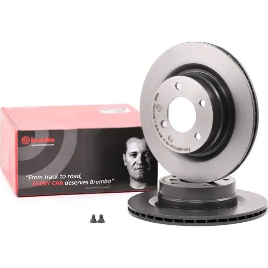 Brembo Bremseskive 09.9793.11, 300 mm, bagaksel, indvendigt ventileret