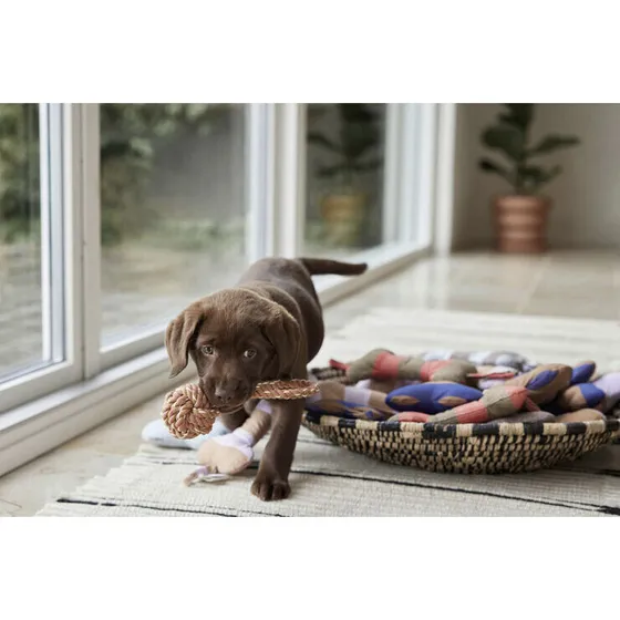 OYOY Zoo Ashi hundelegetøj Large 28 cm – kirsebærrød/taupe