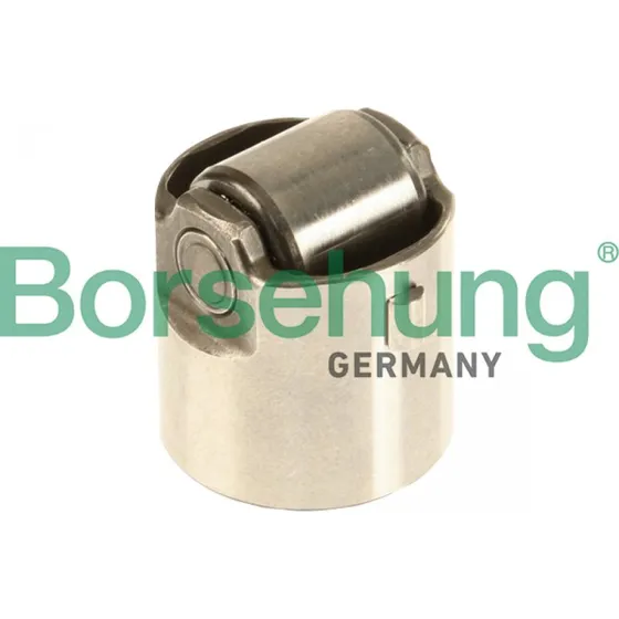 Borsehung Stempel, højtrykspumpe B18195 til VW, AUDI, SKODA