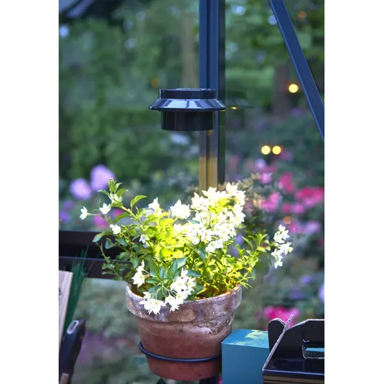 Juliana Solar LED-lampe 3 LED til drivhus