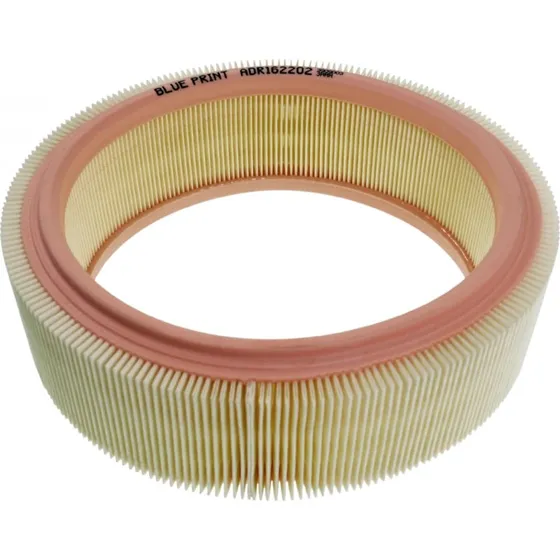 BLUE PRINT Luftfilter ADR162202 til Dacia, Renault, Nissan
