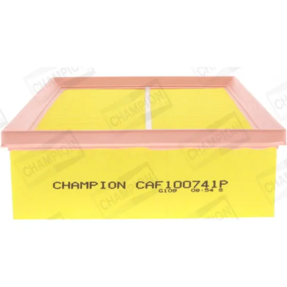 CHAMPION Luftfilter CAF100741P til Renault Clio II, Espace IV, Laguna II