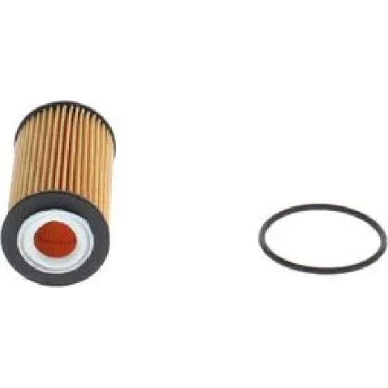 BOSCH Oliefilter F 026 407 298 til FORD FOCUS IV, KUGA III & TRANSIT CONNECT