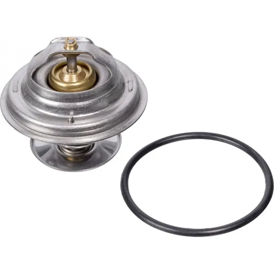 FEBI BILSTEIN Termostat 09671 til MERCEDES-BENZ