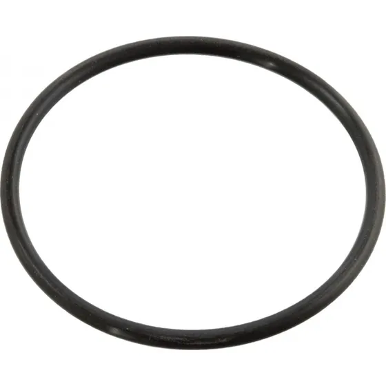 FEBI BILSTEIN 10258 Termostat, Pakning