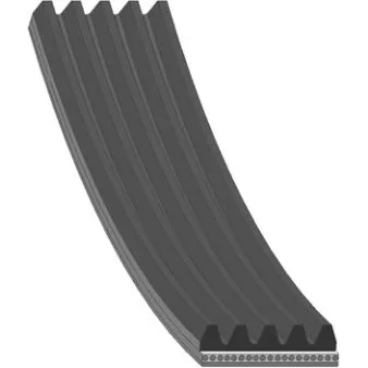 FEBI BILSTEIN Kilerem 28862, 5PK1200, 1200 mm, EPDM