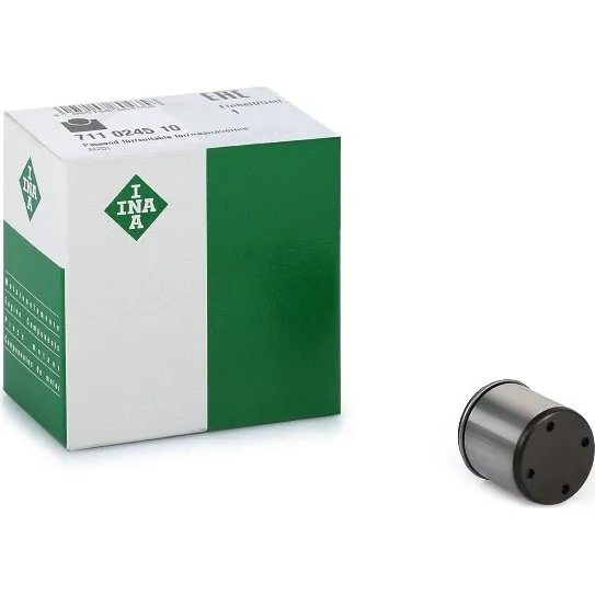 INA 711 0245 10 Højtrykspumpe, 21 mm, til VW, Audi, Skoda