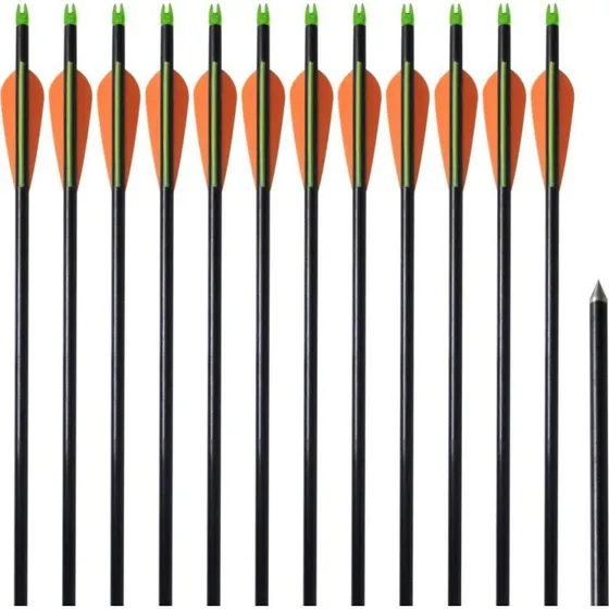 vidaXL Pile til compoundbue 30" 0,8 cm glasfiber 12 stk