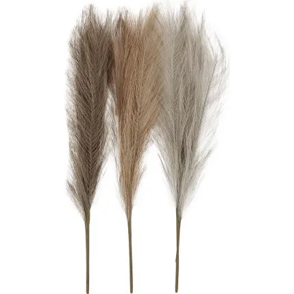 Pampasgræs, 50 cm, lys pudder, lys brun, lys grå, 3 stk./bundt