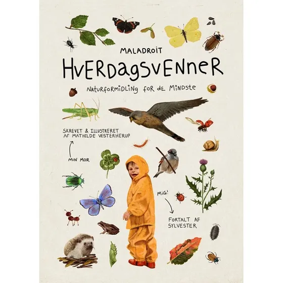 Hverdagsvenner: Sylvester - En bog om naturen i Danmark