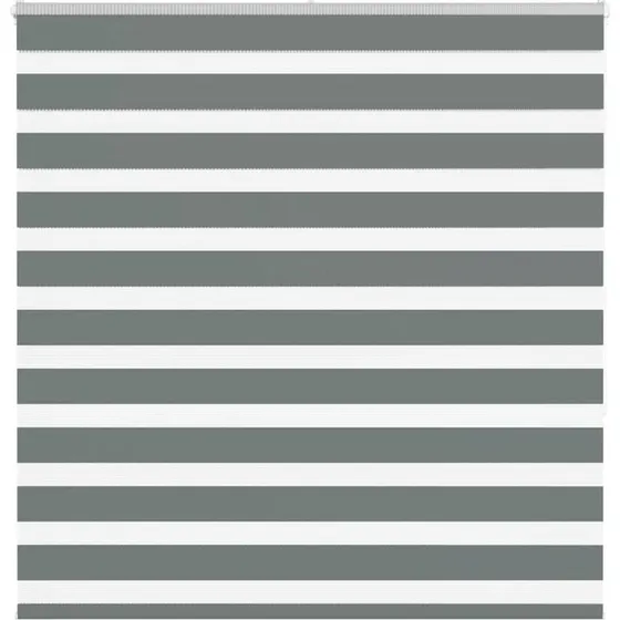 vidaXL Zebragardin Mørkegrå 145x150 cm