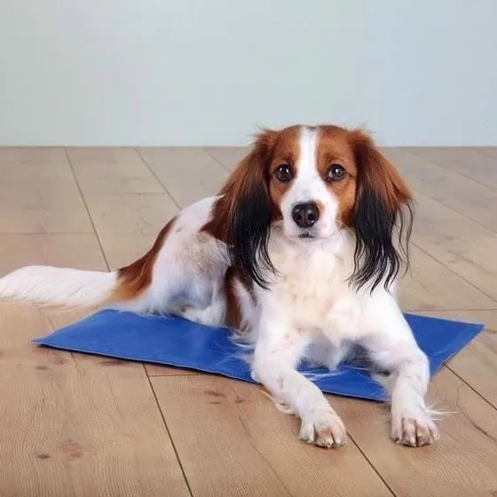 Kølemåtte til hunde 110 x 70 cm, blå