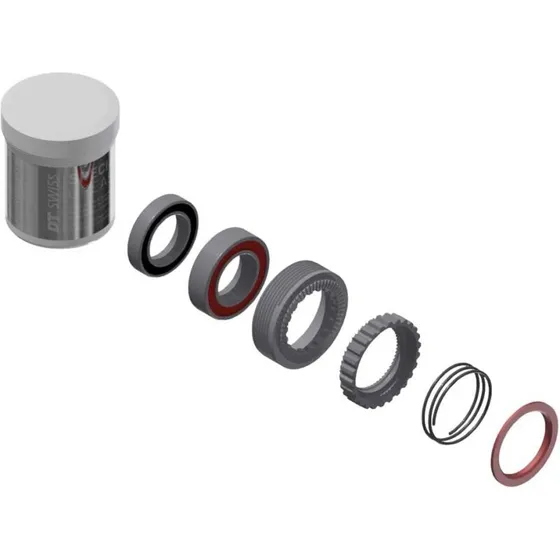 DT Swiss Ratchet 54T 180 EXP servicesæt med lejer (grå)